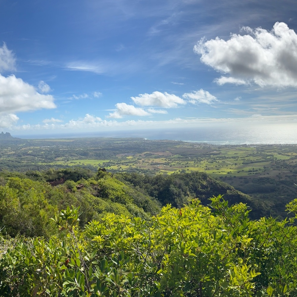 Meet your Posher, Gavin